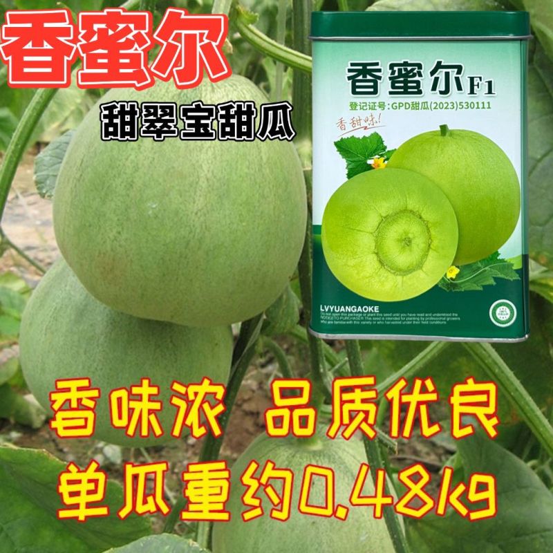 香蜜尔甜翠宝甜瓜种子绿宝石甜瓜种子日本甜宝薄皮香瓜大田基