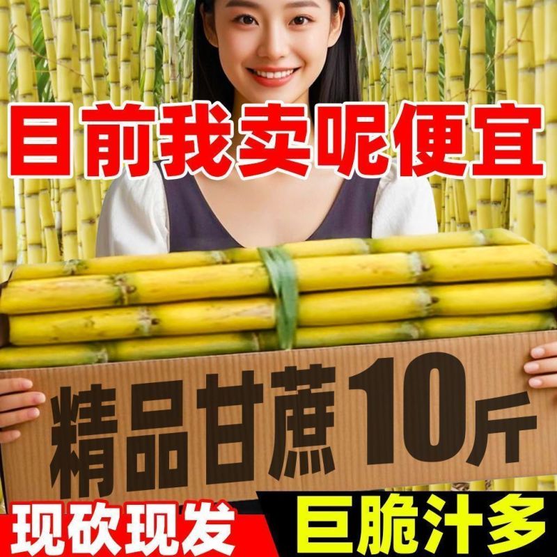 【一件代发】正宗云南黄金甘蔗新鲜当季水果现砍手撕甘蔗
