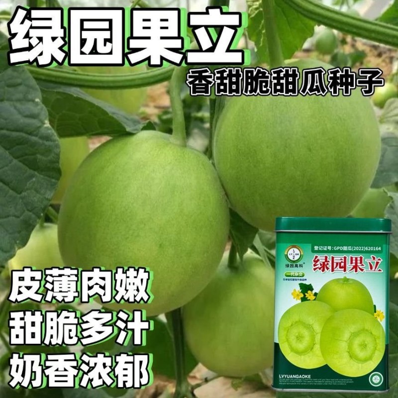 绿园果立甜翠宝甜宝甜瓜种子日本甜宝种籽薄皮奶香瓜大棚基地