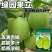 绿园果立甜翠宝甜宝甜瓜种子日本甜宝种籽薄皮奶香瓜大棚基地