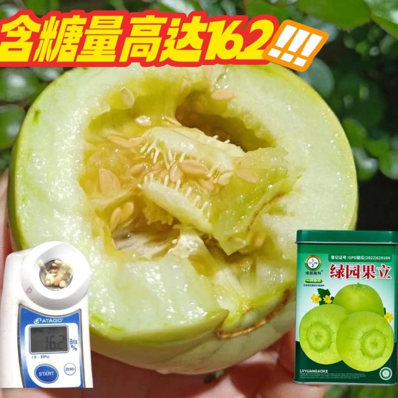 绿园果立甜翠宝甜宝甜瓜种子日本甜宝种籽薄皮奶香瓜大棚基地