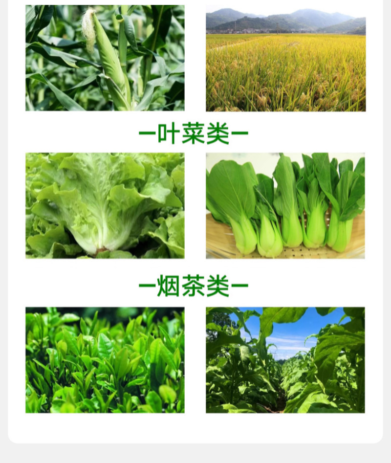 磷酸二氢钾磷钾叶面肥冲施肥滴灌喷施专用肥料全水溶磷钾肥