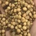 畜牧专用炒熟黄豆质量保证可视频看货全国发货