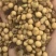 畜牧专用炒熟黄豆质量保证可视频看货全国发货