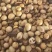畜牧专用炒熟黄豆质量保证可视频看货全国发货