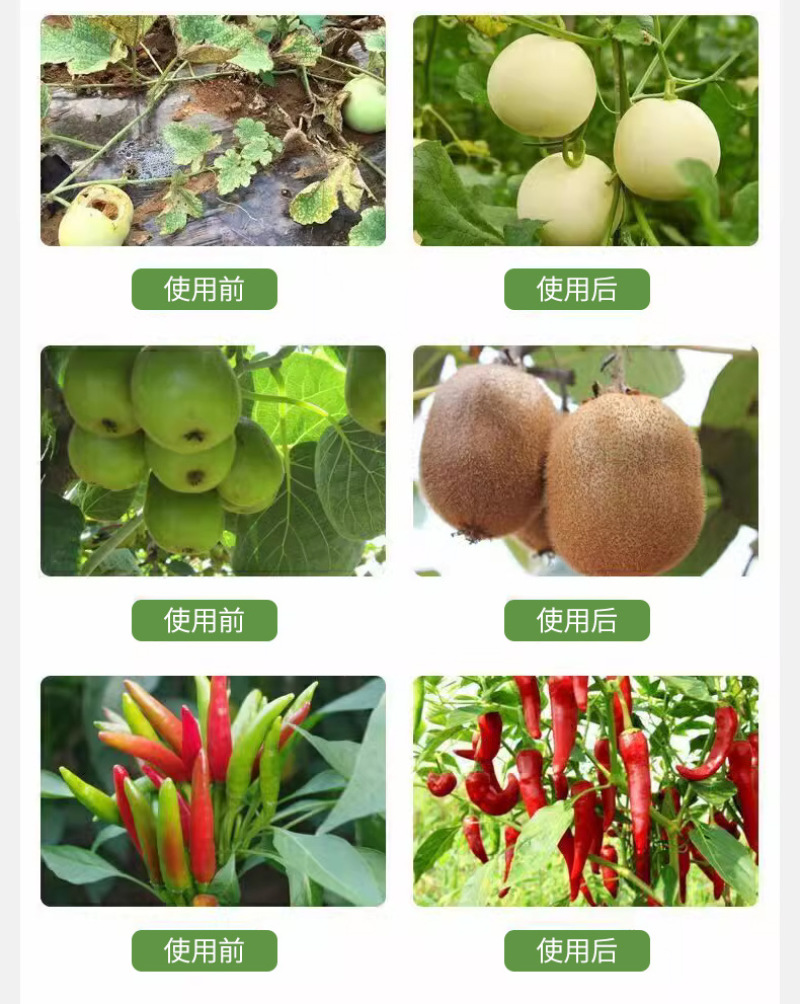流体硼微量元素水溶肥液体螯合肥蔬菜果树叶面肥硼氮磷钾肥料