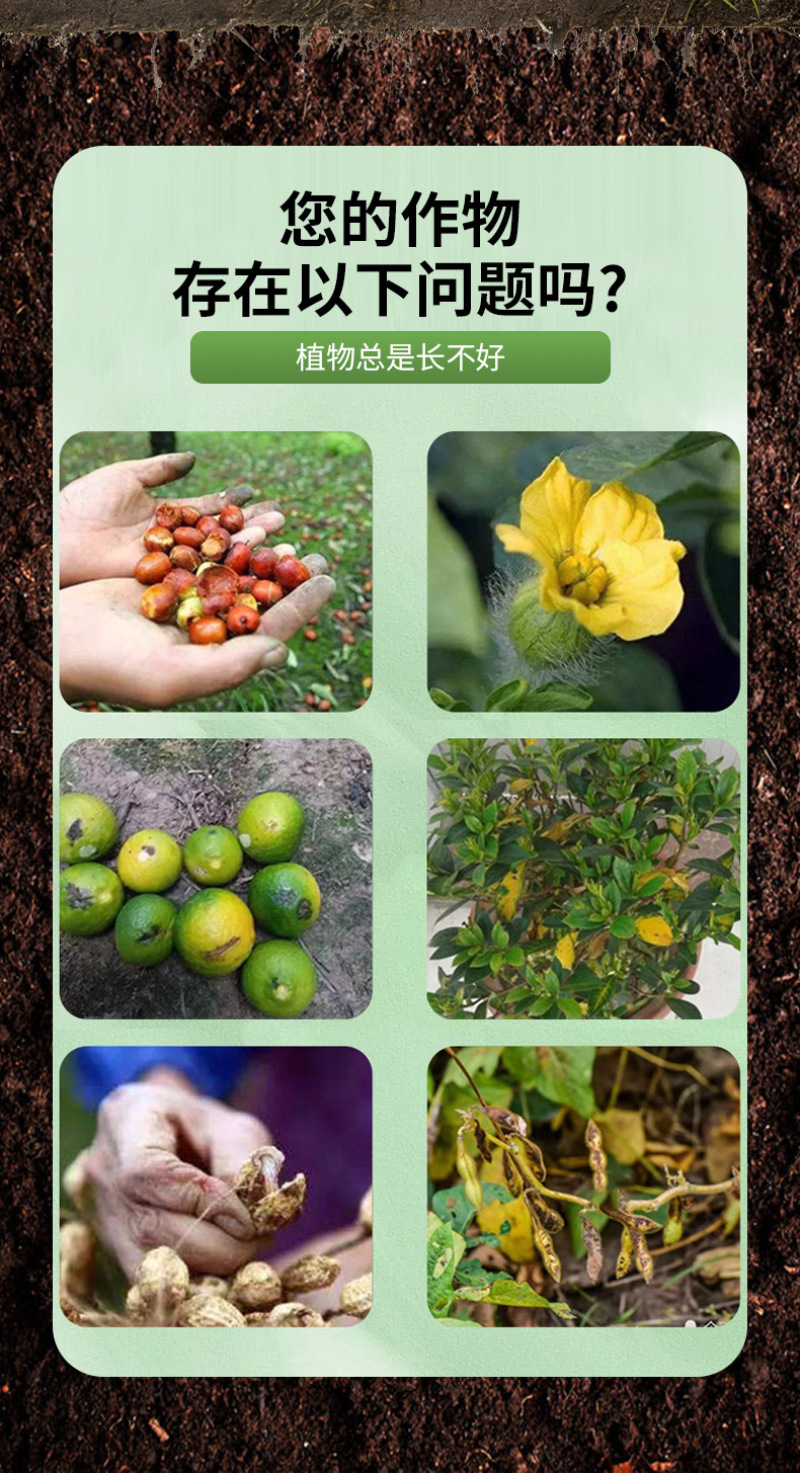 流体硼微量元素水溶肥液体螯合肥蔬菜果树叶面肥硼氮磷钾肥料