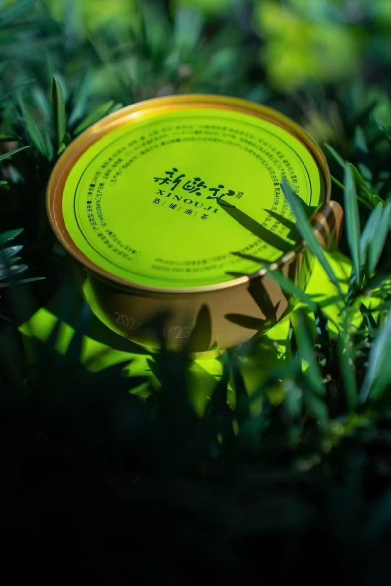 恭城油茶大量有货欢迎来电订购现货批发