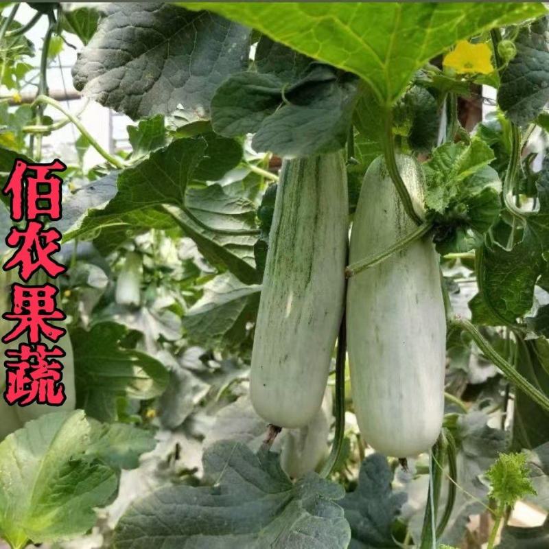羊角蜜各种包装一件代发商超社区团购电商大量有货