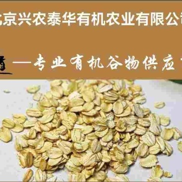 常年供应有机燕麦片
