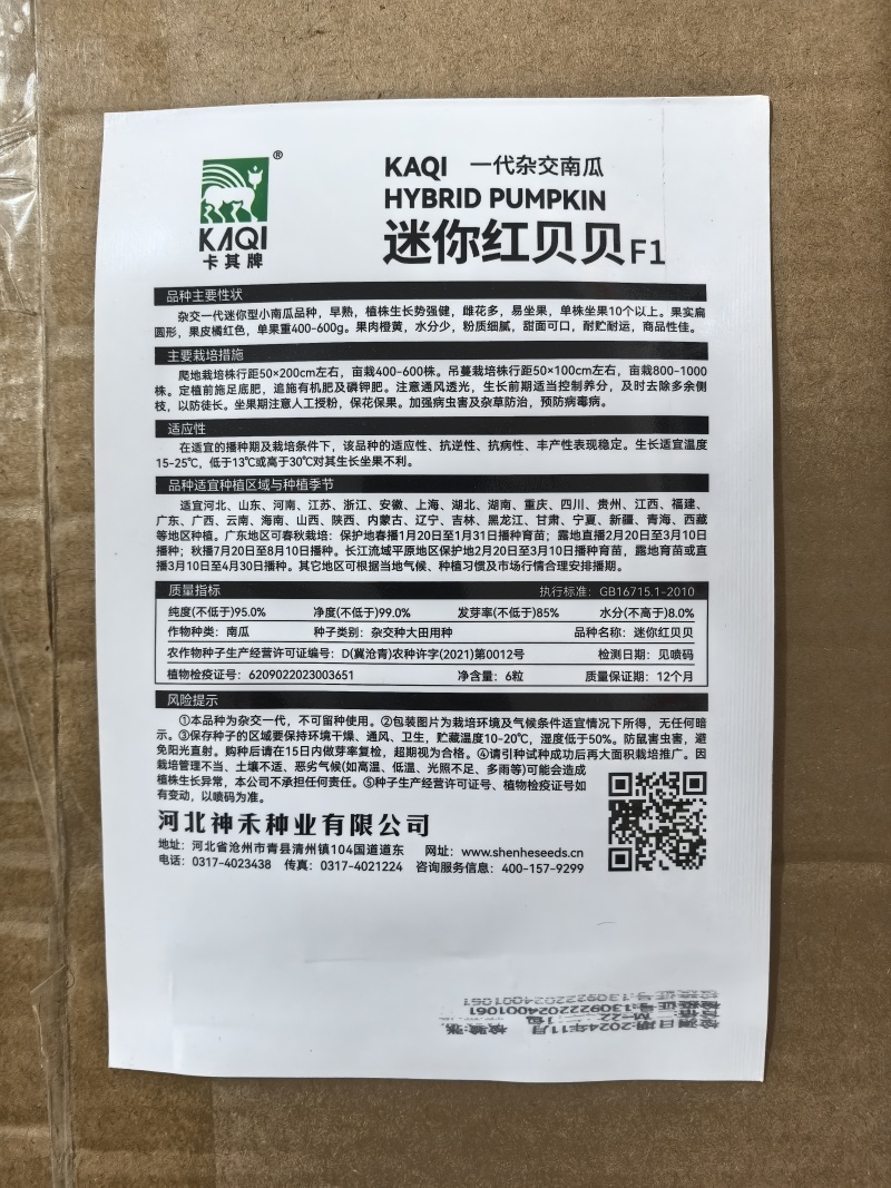 迷你红贝贝南瓜种子杂交一代早熟小南瓜种子果皮橘红