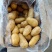 山东冷库黄心土豆V7土豆荷兰十五沃土豆大量出库全国发货