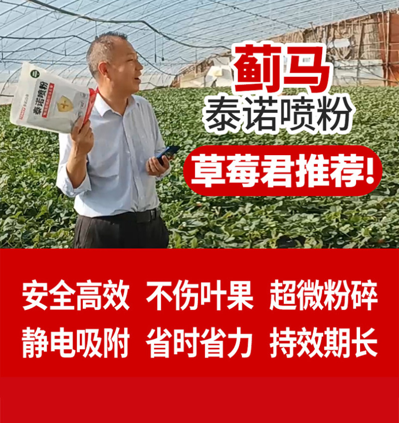 泰诺药业病虫害蓟马蚜虫喷粉套餐，安全高效省时省力