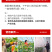泰诺药业病虫害蓟马蚜虫喷粉套餐，安全高效省时省力