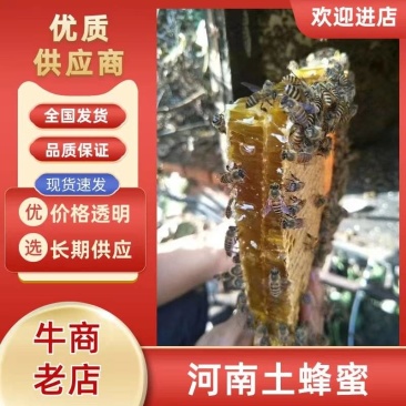纯伏牛山恐龙遗迹园土蜂蜜，蜂蜜浓度41.5度以上