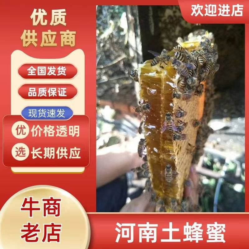 纯伏牛山恐龙遗迹园土蜂蜜，蜂蜜浓度41.5度以上