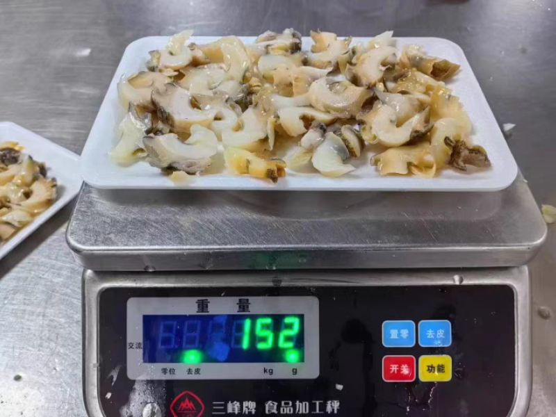 东新北福原味海螺片火锅涮菜新鲜螺片半成品捞汁小海鲜150