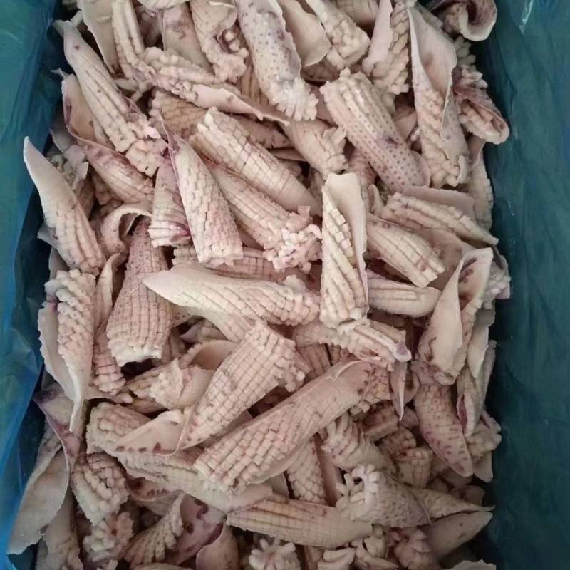 20斤新鲜冷冻鱿鱼牛角花耳花尖现切无冰衣鱿鱼卷海鲜火锅烧