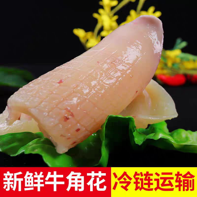 20斤新鲜冷冻鱿鱼牛角花耳花尖现切无冰衣鱿鱼卷海鲜火锅烧