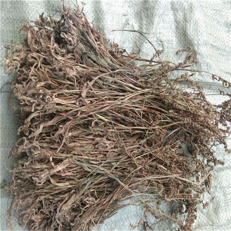 新货贵州盘龙参材紫花盘龙草猪鞭草绶草猪牙参干货