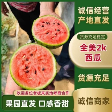山东潍坊全美2K小西瓜2K小吊瓜小糖丸牛奶小爆瓜冰糖籽