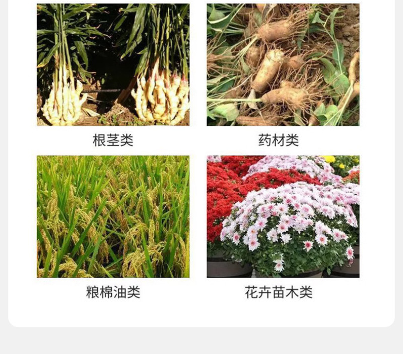 绿大衣防冻剂含氨基酸水溶肥果树苗木盆栽鲜花草莓白菜防冻剂