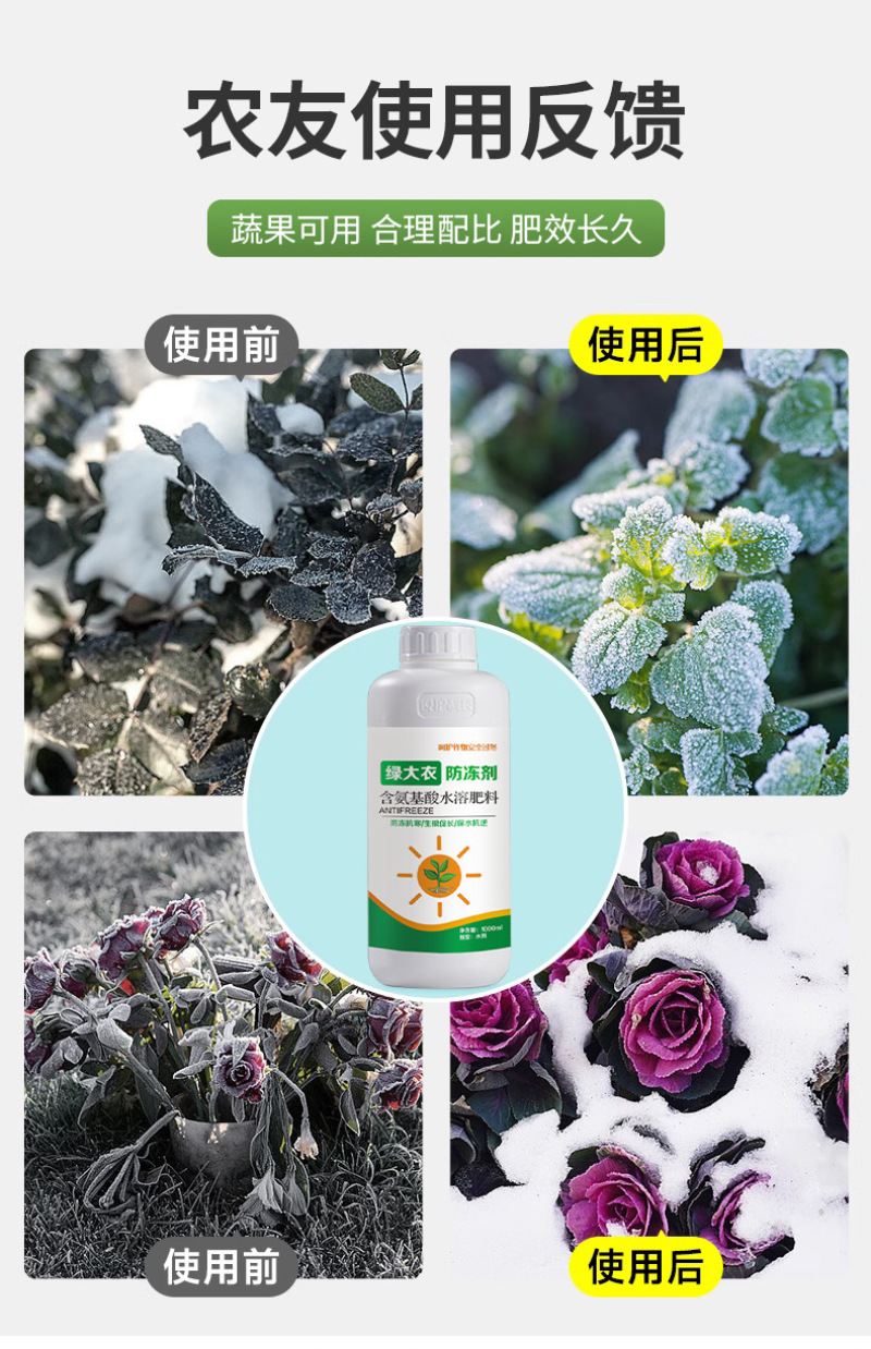 绿大衣防冻剂含氨基酸水溶肥果树苗木盆栽鲜花草莓白菜防冻剂