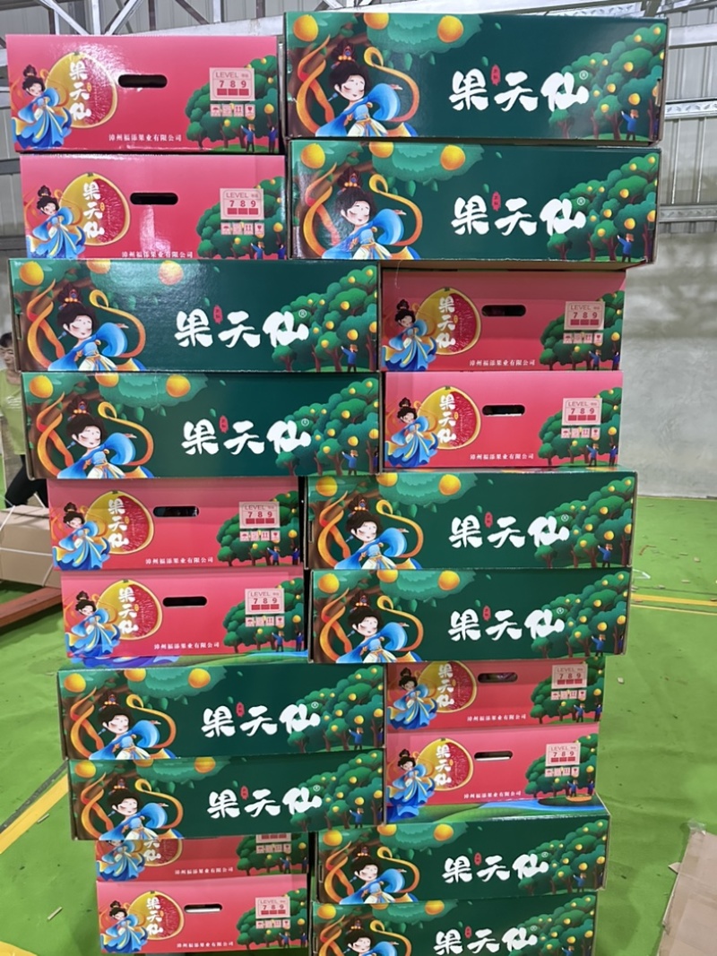 福建平和，三红柚，、一件代发，平台**，