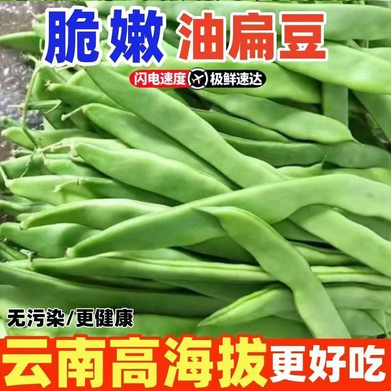 扁豆新鲜云南高山种植刀豆无筋豆蔬菜一件代发