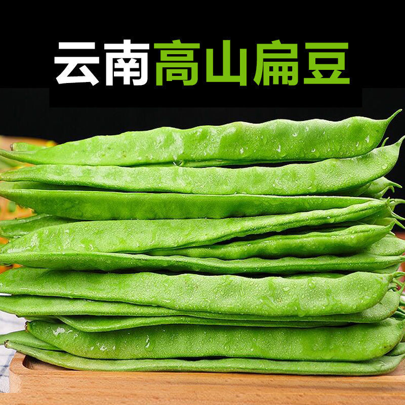 扁豆新鲜云南高山种植刀豆无筋豆蔬菜一件代发