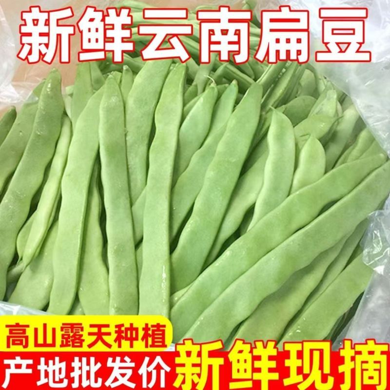 扁豆新鲜云南高山种植刀豆无筋豆蔬菜一件代发