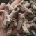 【三七】水洗云南文山三七多种规格质量保证可打粉