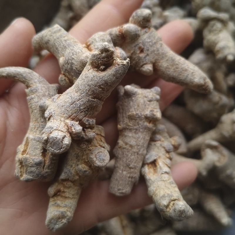 【三七】水洗云南文山三七多种规格质量保证可打粉