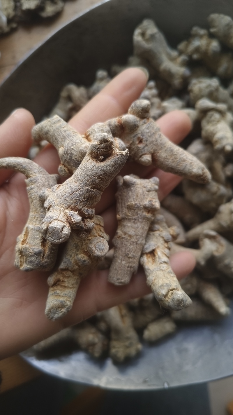 【三七】水洗云南文山三七多种规格质量保证可打粉