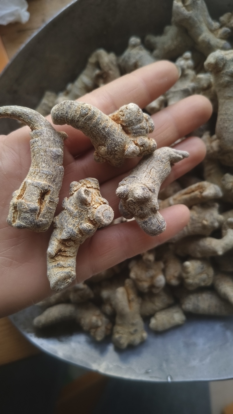 【三七】水洗云南文山三七多种规格质量保证可打粉