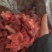 【熟牛肉】五香小块牛肉，价格低，现货实拍，每天大量加工中