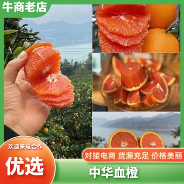 【实力推荐】中华红血橙可视频看货果肉鲜红现采现发产地直发