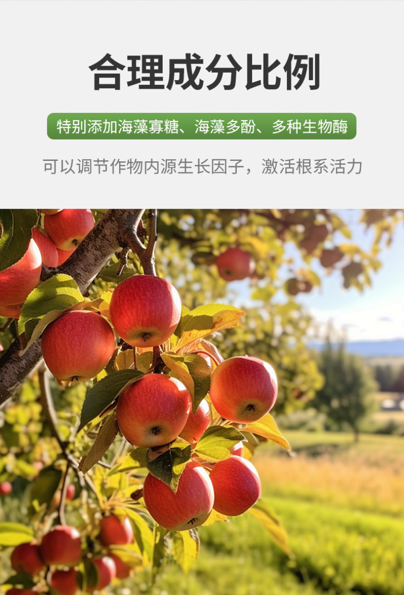 锐护涂树宝叶面肥果树涂杆有机水溶肥料果树补充营养预防病害