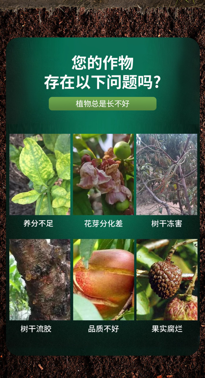 锐护涂树宝叶面肥果树涂杆有机水溶肥料果树补充营养预防病害