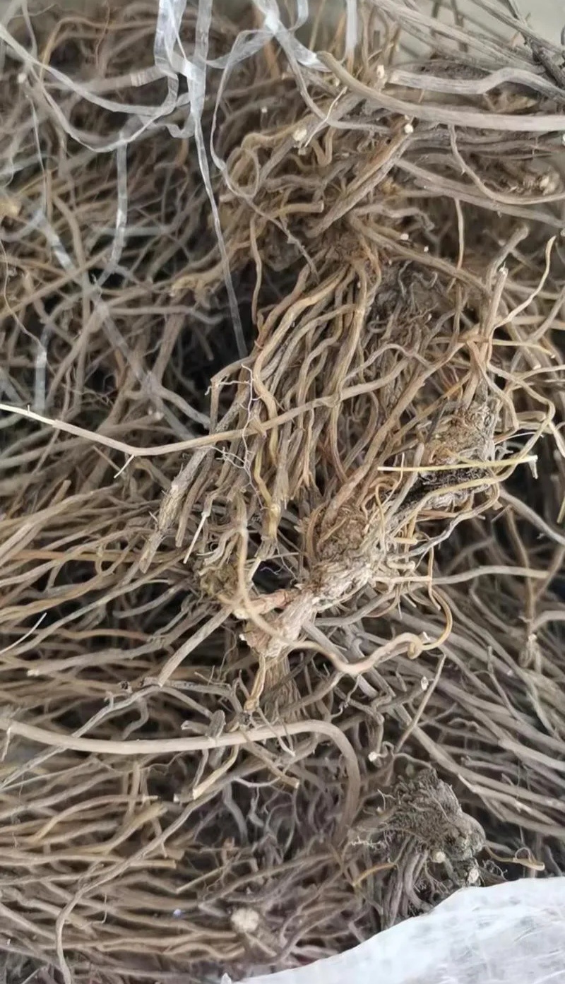 伏牛山威灵仙，非种植货源，种子也有，欢迎咨询！