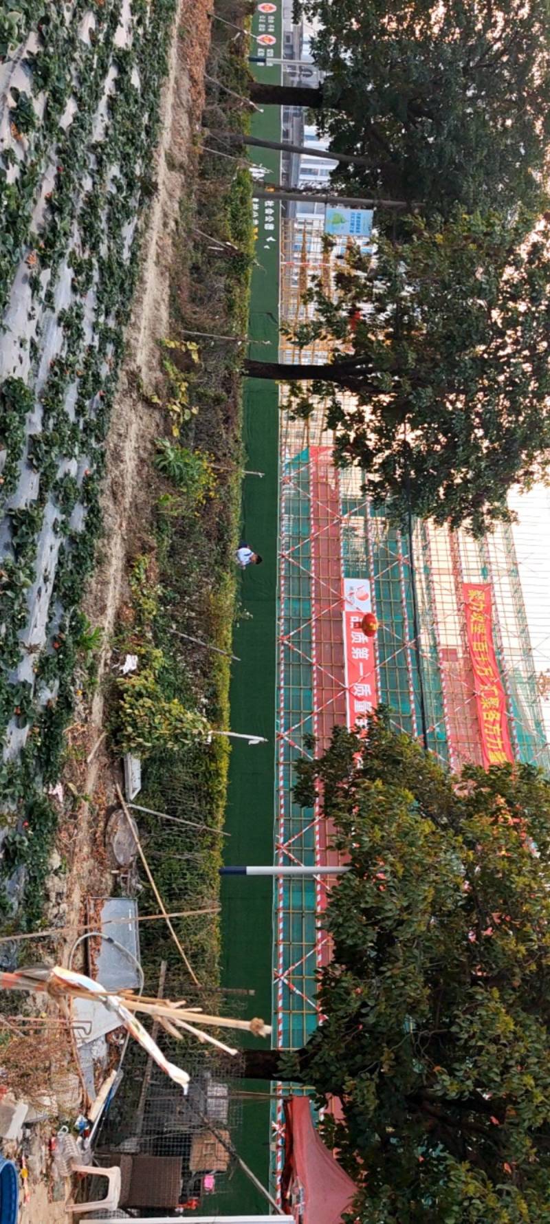 转让汕头潮南安达草莓采摘园10亩地，碧桂园旁，珠宝城门口