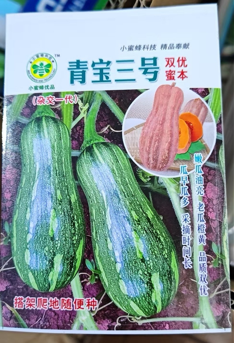 南瓜种子青宝三号双优蜜本老嫩瓜兼用嫩瓜脆甜老瓜粉甜