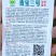 南瓜种子青宝三号双优蜜本老嫩瓜兼用嫩瓜脆甜老瓜粉甜