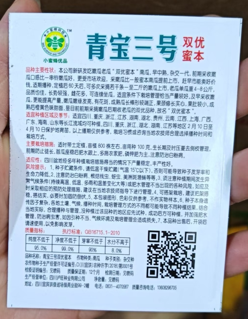 南瓜种子青宝三号双优蜜本老嫩瓜兼用嫩瓜脆甜老瓜粉甜