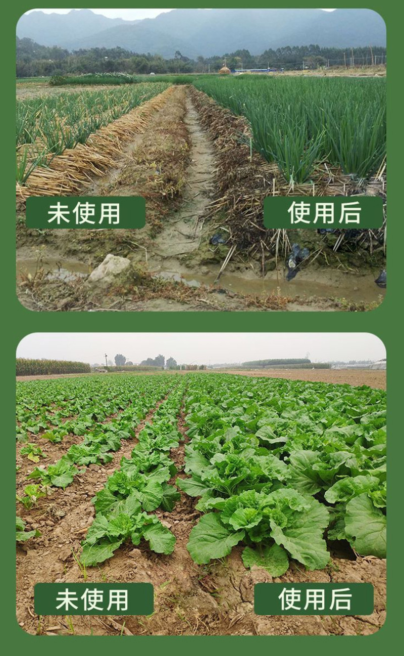 锐护活菌矿源黄腐酸钾水溶肥果蔬生根肥袋装复合肥叶面肥料