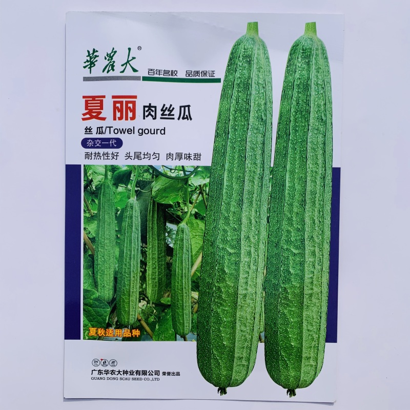 华农大大花点丝瓜种子夏丽肉丝瓜种子耐热夏秋季大肉花点丝瓜