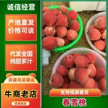 【推荐】春雪水蜜桃，质量保证产地直销承接商超批发全国