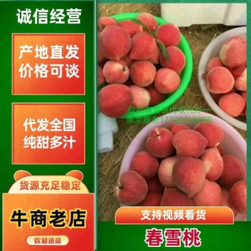 【推荐】春雪水蜜桃，质量保证产地直销承接商超批发全国
