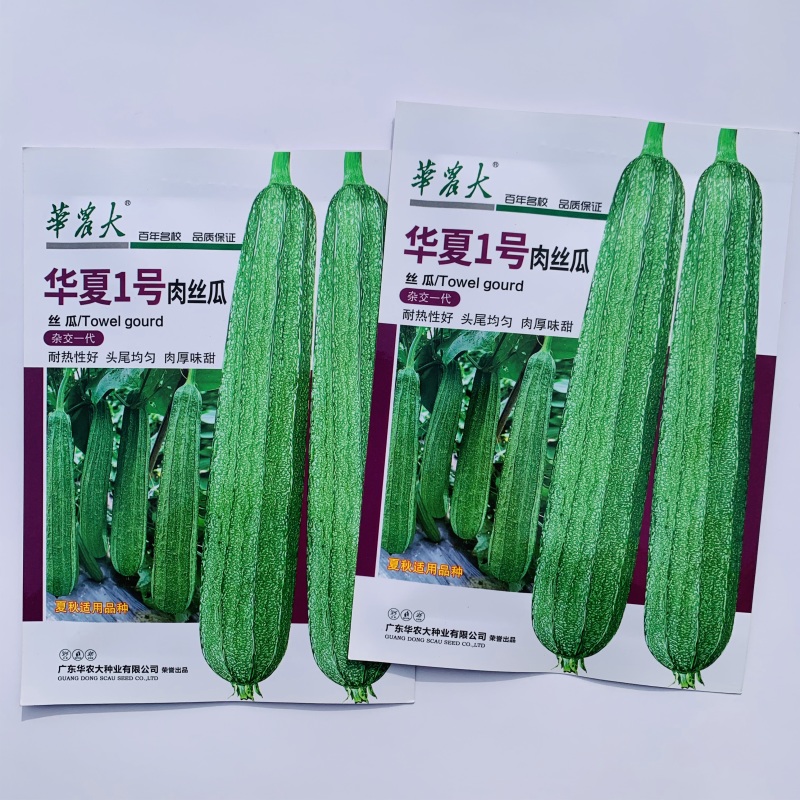 华夏1号大花点肉丝瓜种子早熟瓜长抗病夏秋季耐热丝瓜种籽