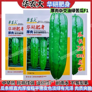 华研肥身苦瓜种子厚肉杂交油绿苦瓜种子抗病高产耐裂耐雨水苦